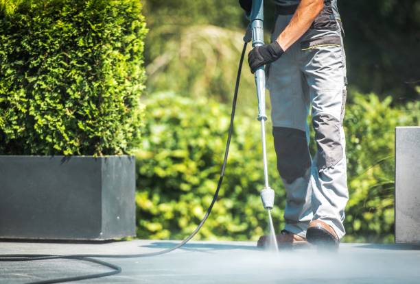 Best Spring Cleaning  in North Arlington, NJ